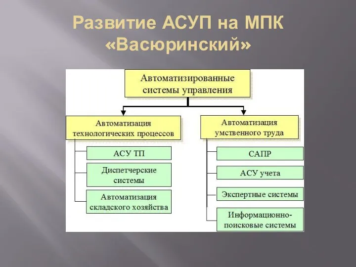 Развитие АСУП на МПК «Васюринский»