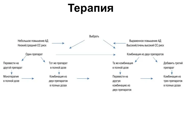 Терапия