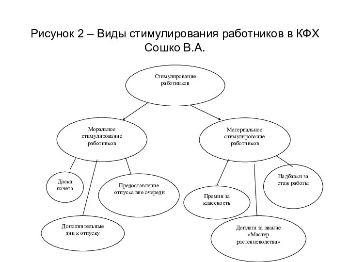 Рисунок 2 – Виды стимулирования работников в КФХ Сошко В.А.