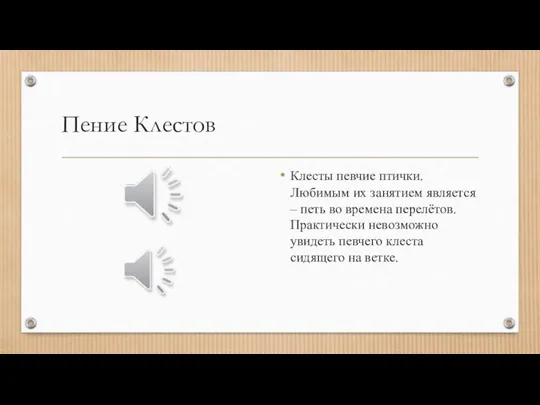 Пение Клестов Клесты певчие птички. Любимым их занятием является – петь во