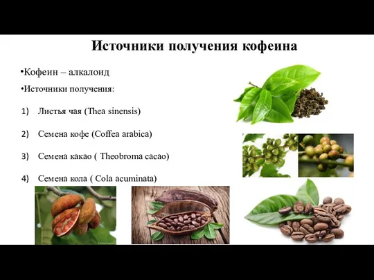 Источники получения: Листья чая (Thea sinensis) Семена кофе (Coffea arabica) Семена какао