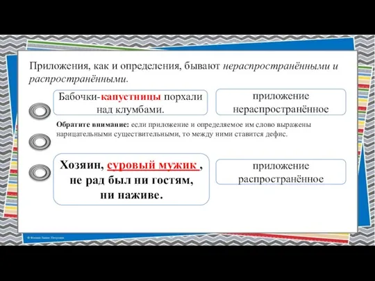 Приложения, как и определения, бывают нераспространёнными и распространёнными. Бабочки-капустницы порхали над клумбами.