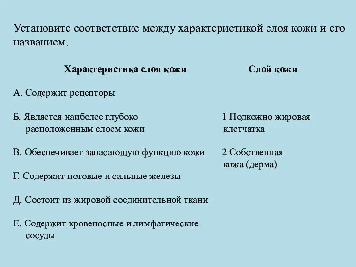 Установите соответствие между характеристикой слоя кожи и его названием. Характеристика слоя кожи