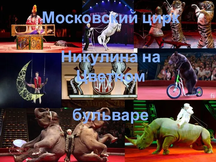 Московский цирк Никулина на Цветном бульваре Королева Анастасия