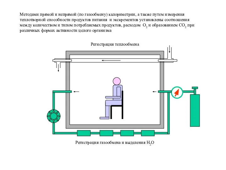 Регистрация газообмена и выделения H2O Регистрация теплообмена Методами прямой и непрямой (по