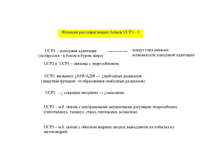 Функции рассопрягающих белков UCP 1 - 5 UCP2 вызывает ↓АТФ/АДФ → ↓свободных