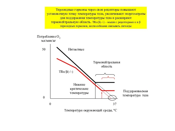 Потребление O2 мл/мин/кг Температура окружающей среды, ºС 0 37 Нижние критические температуры