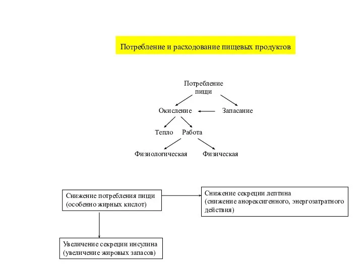 Снижение потребления пищи (особенно жирных кислот) Снижение секреции лептина (снижение анорексигенного, энергозатратного