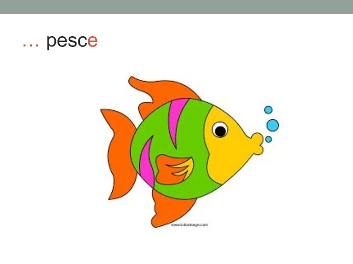 … pesce