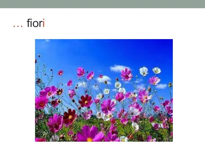 … fiori