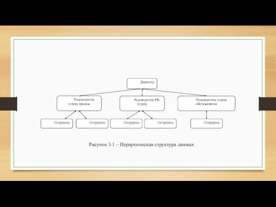 Рисунок 3.1 – Иерархическая структура данных