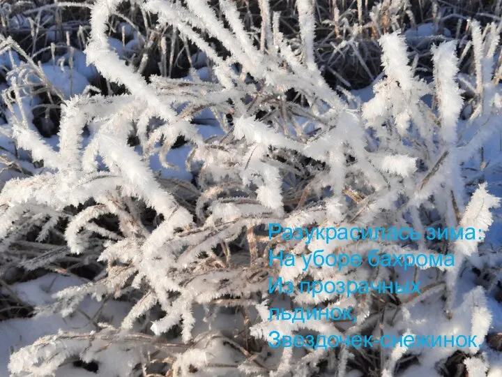 Разукрасилась зима: На уборе бахрома Из прозрачных льдинок, Звездочек-снежинок.