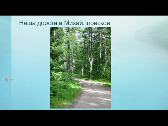 Наша дорога в Михайлловское