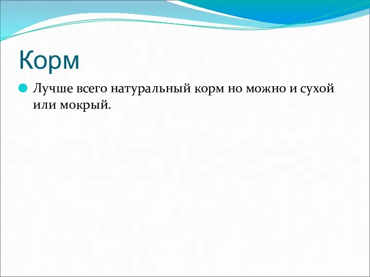 Корм Лучше всего натуральный корм но можно и сухой или мокрый.