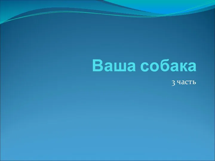 Ваша собака 3 часть