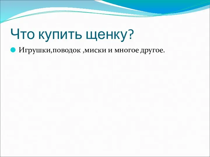 Что купить щенку? Игрушки,поводок ,миски и многое другое.