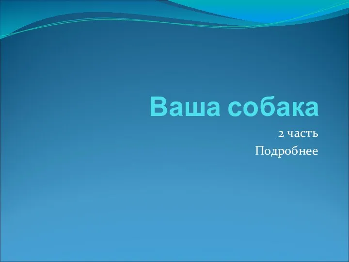 Ваша собака 2 часть Подробнее