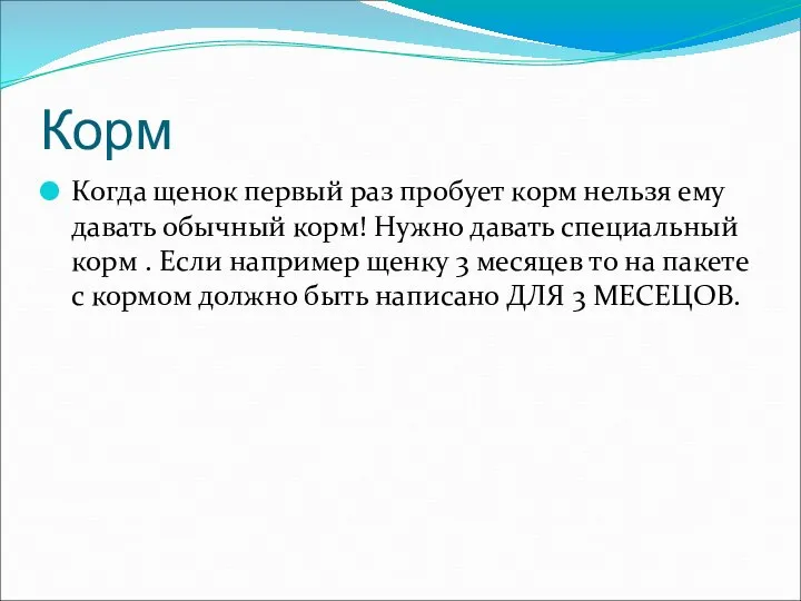 Корм Когда щенок первый раз пробует корм нельзя ему давать обычный корм!