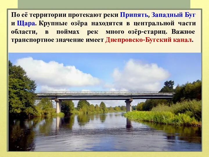 По её территории протекают реки Припять, Западный Буг и Щара. Крупные озёра