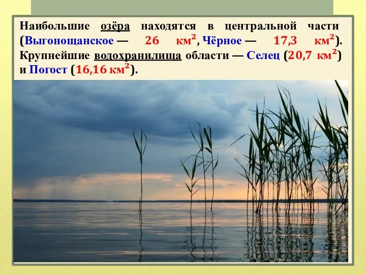 Наибольшие озёра находятся в центральной части (Выгонощанское — 26 км², Чёрное —