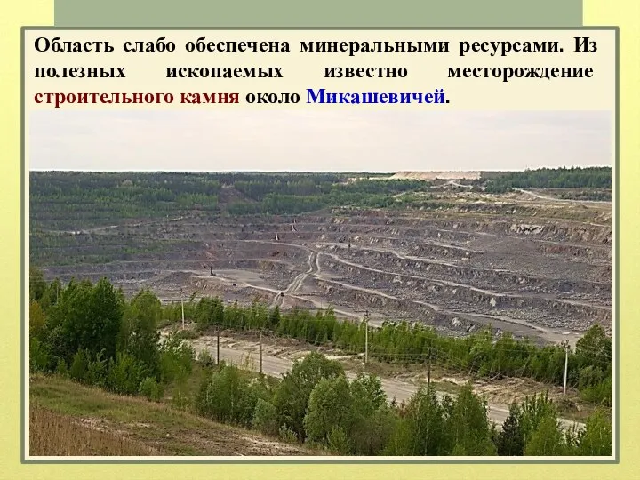 Область слабо обеспечена минеральными ресурсами. Из полезных ископаемых известно месторождение строительного камня около Микашевичей.