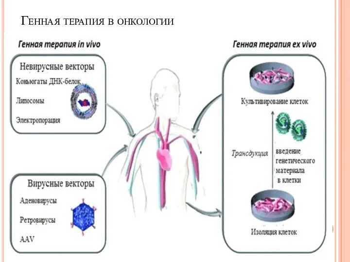 Генная терапия в онкологии