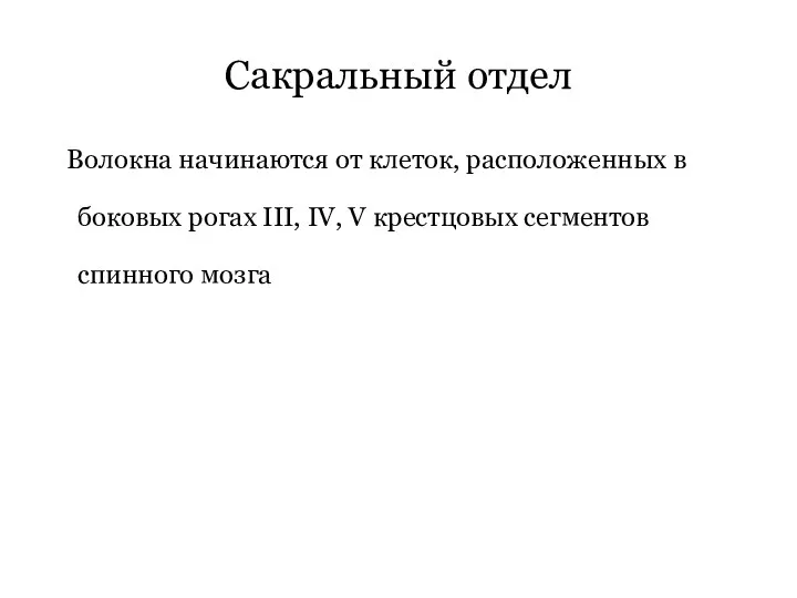 Сакральный отдел Волокна начинаются от клеток, расположенных в боковых рогах III, IV,