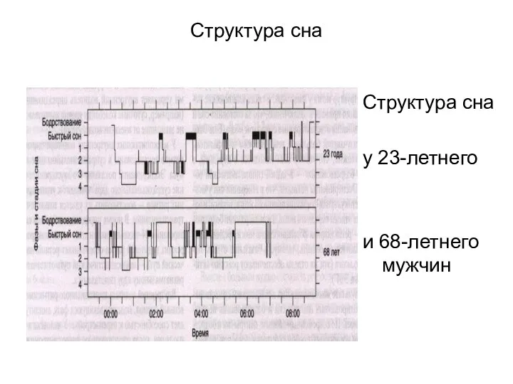 Структура сна Структура сна у 23-летнего и 68-летнего мужчин