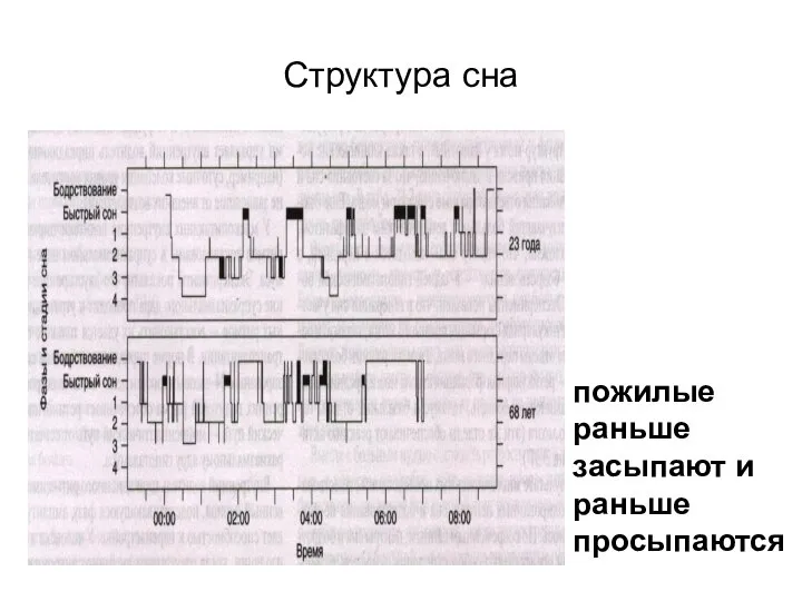 Структура сна пожилые раньше засыпают и раньше просыпаются