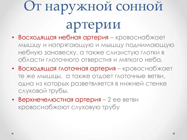 От наружной сонной артерии Восходящая небная артерия – кровоснабжает мышцу и напрягающую