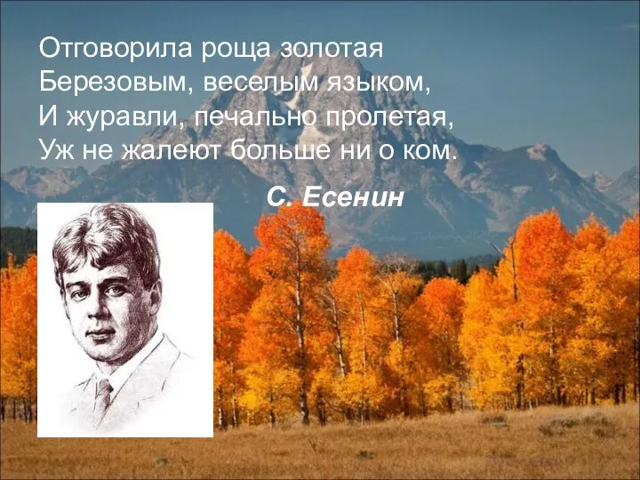 Отговорила роща золотая Березовым, веселым языком, И журавли, печально пролетая, Уж не