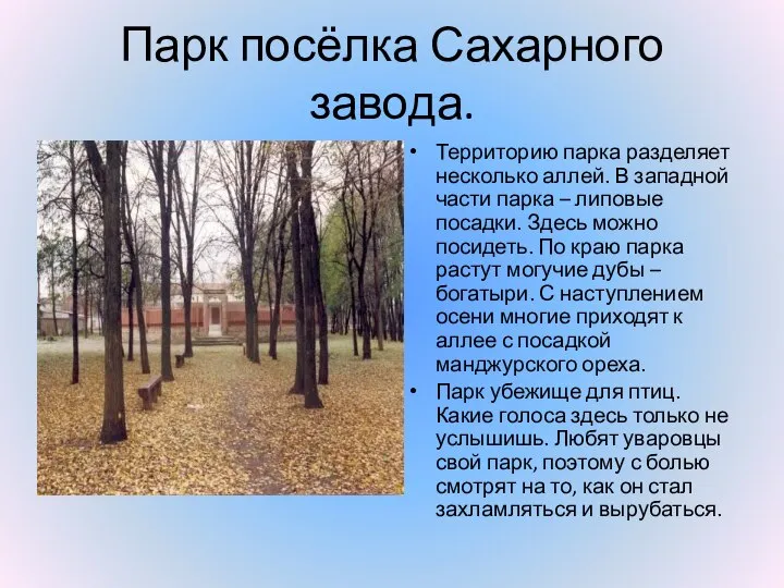 Парк посёлка Сахарного завода. Территорию парка разделяет несколько аллей. В западной части