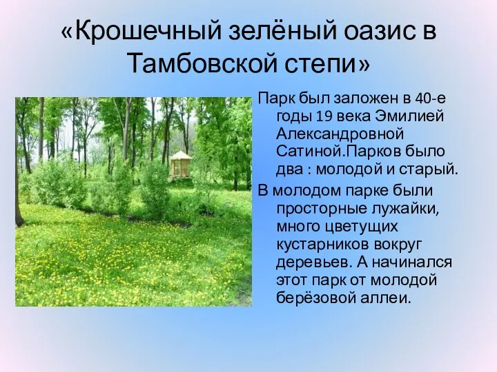 «Крошечный зелёный оазис в Тамбовской степи» Парк был заложен в 40-е годы