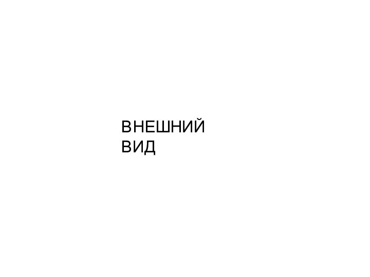 ВНЕШНИЙ ВИД