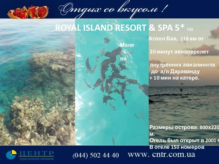 ROYAL ISLAND RESORT & SPA 5* на ). Атолл Баа, 118 км