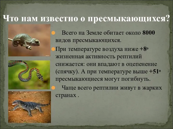 Что нам известно о пресмыкающихся? Всего на Земле обитает около 8000 видов