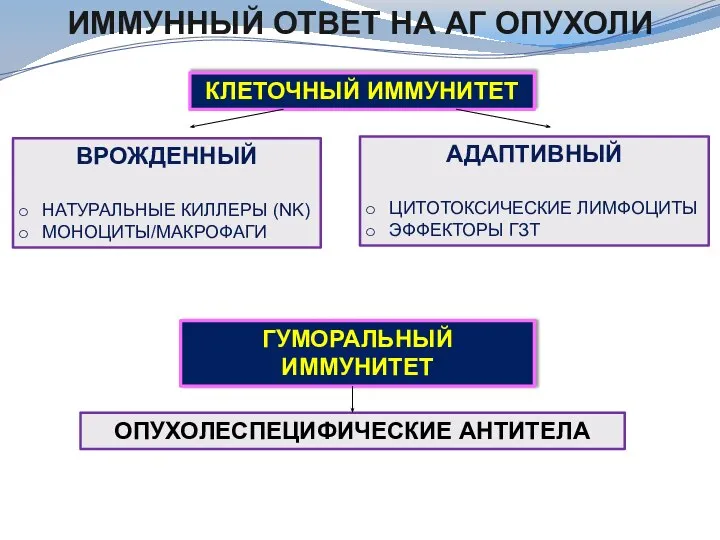 ИММУННЫЙ ОТВЕТ НА АГ ОПУХОЛИ КЛЕТОЧНЫЙ ИММУНИТЕТ ВРОЖДЕННЫЙ НАТУРАЛЬНЫЕ КИЛЛЕРЫ (NK) МОНОЦИТЫ/МАКРОФАГИ