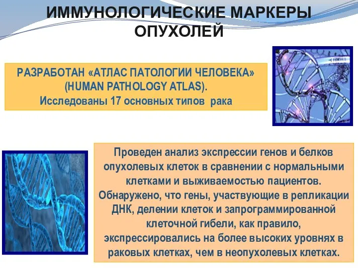 РАЗРАБОТАН «АТЛАС ПАТОЛОГИИ ЧЕЛОВЕКА» (HUMAN PATHOLOGY ATLAS). Исследованы 17 основных типов рака