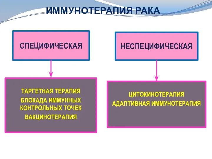 ИММУНОТЕРАПИЯ РАКА СПЕЦИФИЧЕСКАЯ НЕСПЕЦИФИЧЕСКАЯ ТАРГЕТНАЯ ТЕРАПИЯ БЛОКАДА ИММУННЫХ КОНТРОЛЬНЫХ ТОЧЕК ВАКЦИНОТЕРАПИЯ ЦИТОКИНОТЕРАПИЯ АДАПТИВНАЯ ИММУНОТЕРАПИЯ