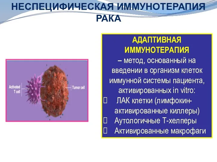 АДАПТИВНАЯ ИММУНОТЕРАПИЯ – метод, основанный на введении в организм клеток иммунной системы