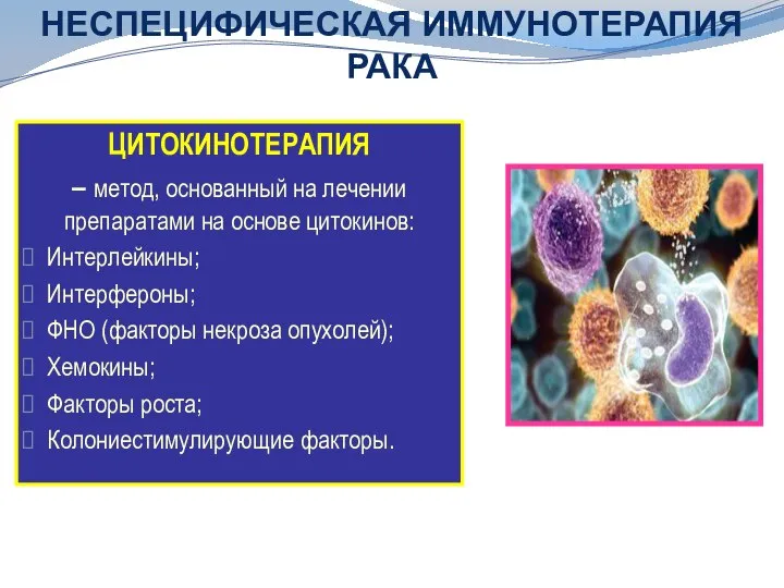 ЦИТОКИНОТЕРАПИЯ – метод, основанный на лечении препаратами на основе цитокинов: Интерлейкины; Интерфероны;