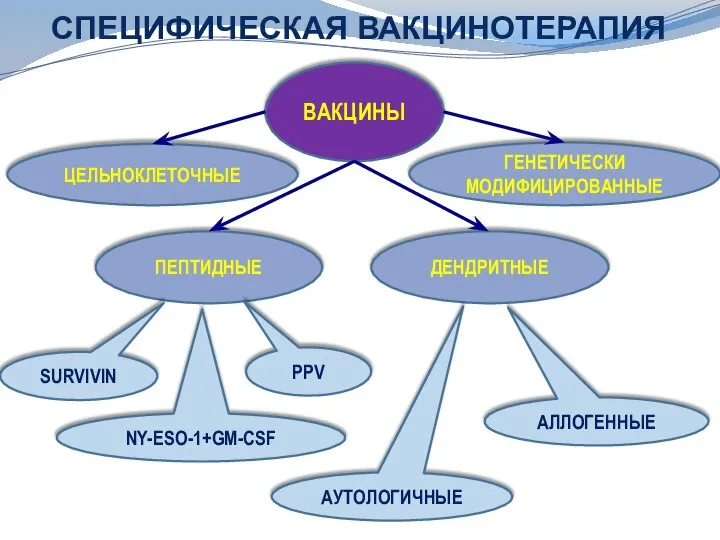 СПЕЦИФИЧЕСКАЯ ВАКЦИНОТЕРАПИЯ ЦЕЛЬНОКЛЕТОЧНЫЕ ПЕПТИДНЫЕ ДЕНДРИТНЫЕ ГЕНЕТИЧЕСКИ МОДИФИЦИРОВАННЫЕ SURVIVIN NY-ESO-1+GM-CSF PPV АУТОЛОГИЧНЫЕ АЛЛОГЕННЫЕ ВАКЦИНЫ