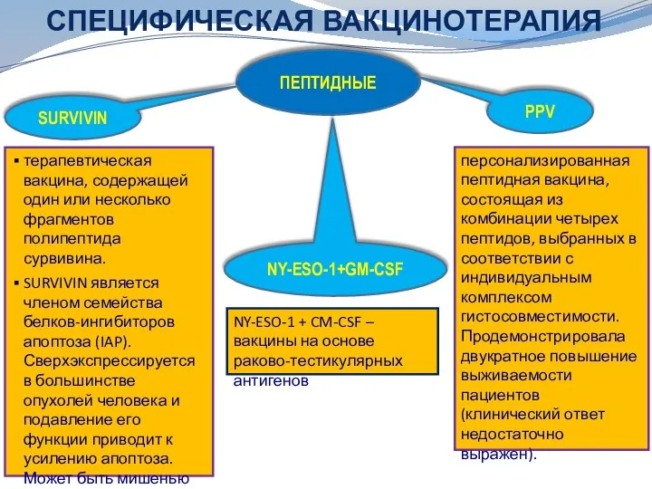 СПЕЦИФИЧЕСКАЯ ВАКЦИНОТЕРАПИЯ ПЕПТИДНЫЕ SURVIVIN NY-ESO-1+GM-CSF PPV персонализированная пептидная вакцина, состоящая из комбинации