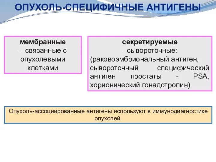 мембранные - связанные с опухолевыми клетками ОПУХОЛЬ-СПЕЦИФИЧНЫЕ АНТИГЕНЫ секретируемые - сывороточные: (раковоэмбриональный