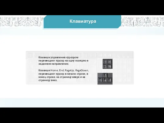 Клавиатура Клавиши управления курсором перемещают курсор на одну позицию в заданном направлении.