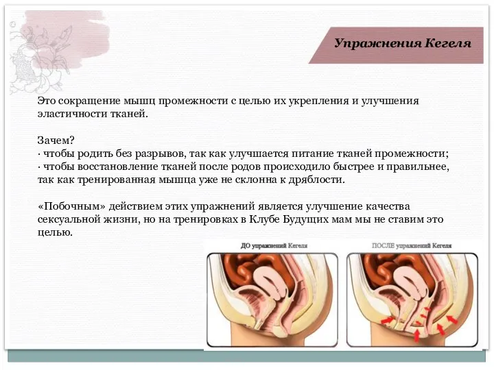 Упражнения Кегеля Это сокращение мышц промежности с целью их укрепления и улучшения