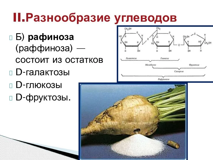 Б) рафиноза (раффиноза) —состоит из остатков D-галактозы D-глюкозы D-фруктозы. II.Разнообразие углеводов