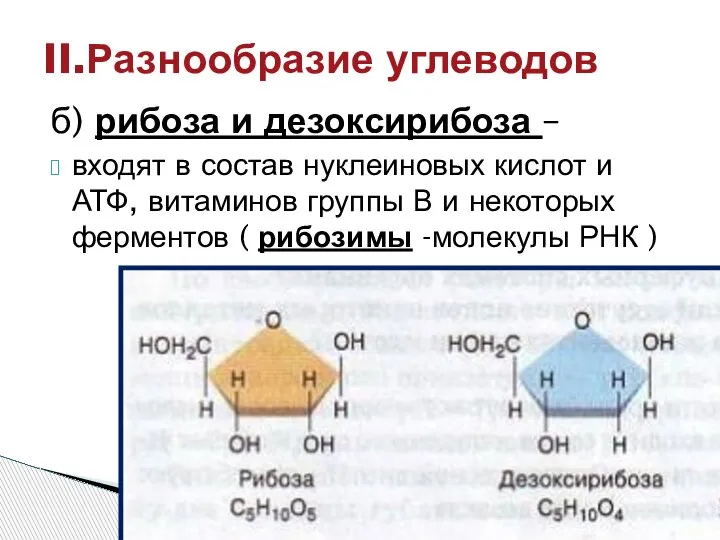 б) рибоза и дезоксирибоза – входят в состав нуклеиновых кислот и АТФ,