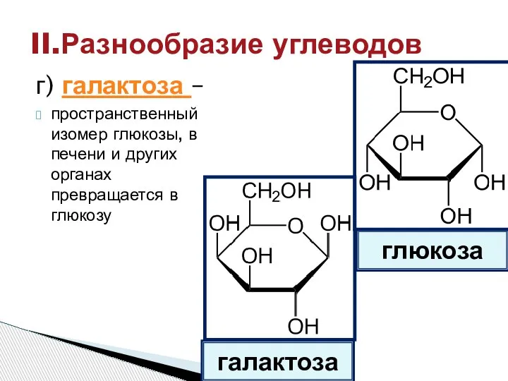 г) галактоза – пространственный изомер глюкозы, в печени и других органах превращается