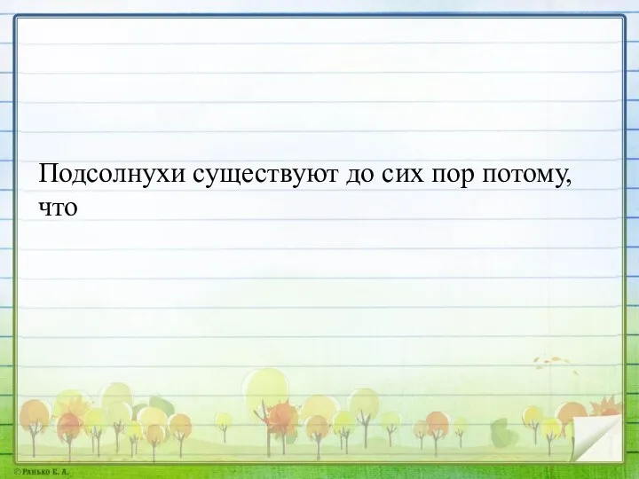 Подсолнухи существуют до сих пор потому, что